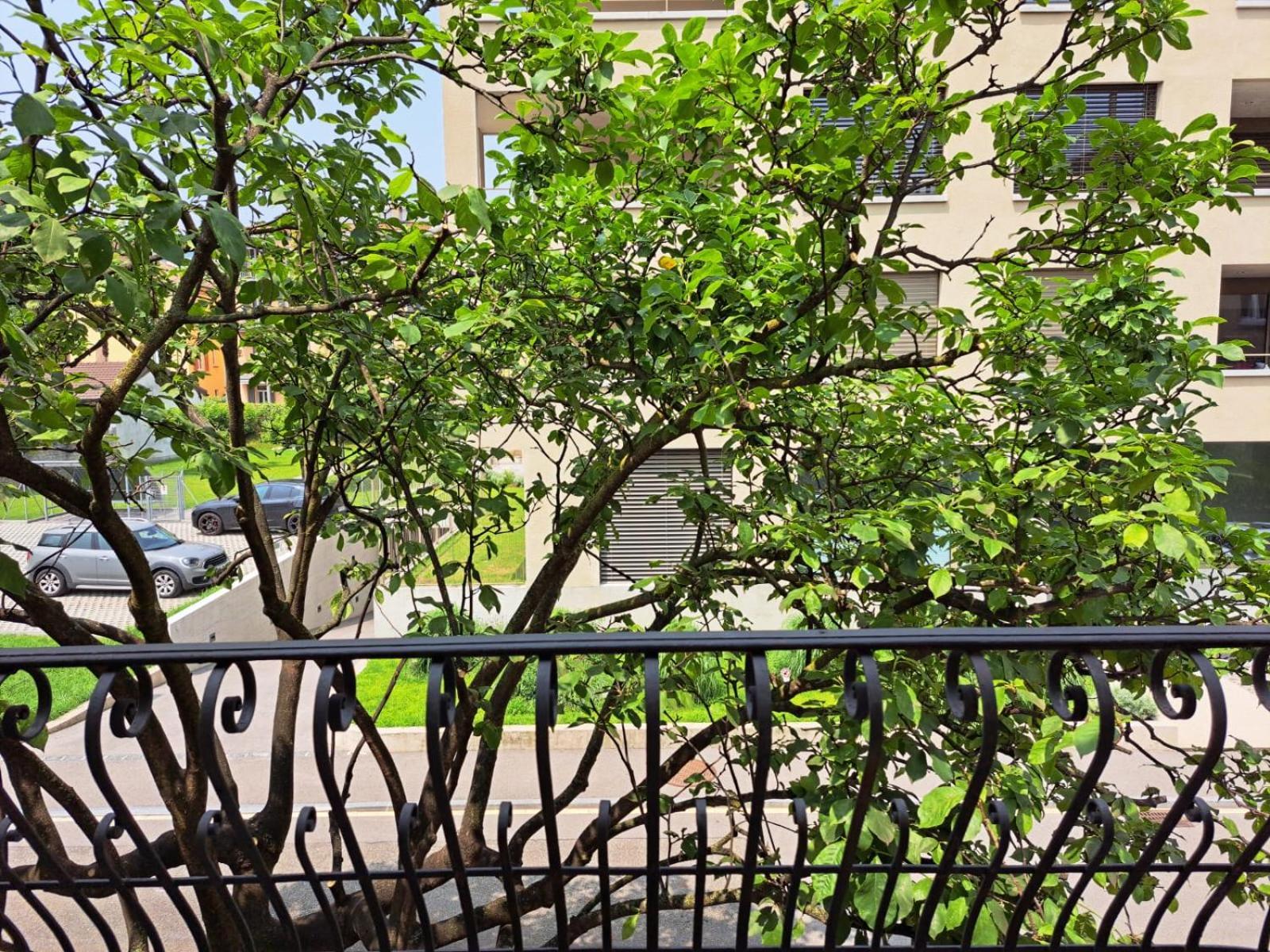 Sestante By Quokka 360 - A Garden In The Town Centre *